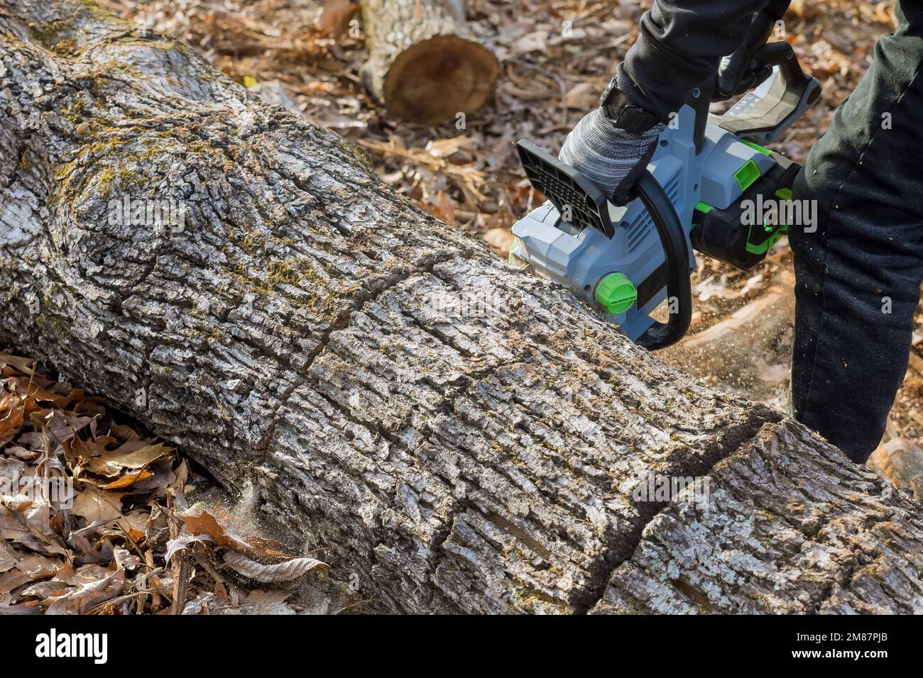 As result of hurricane tree fell during thunderstorm which caused