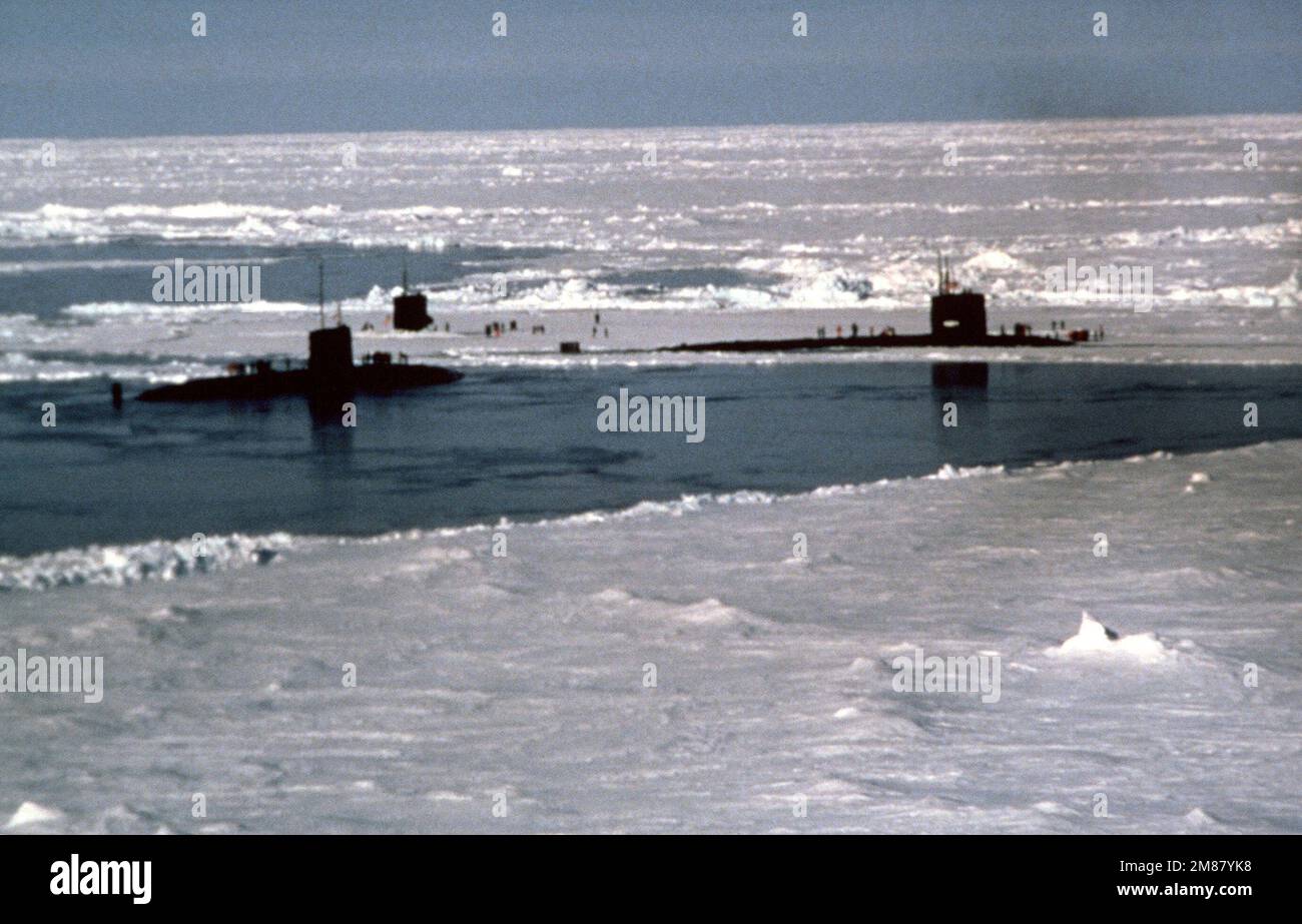 US and British sailors explore the Arctic ice cap while conducting the first US and British coordinated surfacing at the North Pole. The ships are from left to right: the fleet submarine HMS SUPERB (S 109), the nuclear-powered attack submarines, USS BILLFISH (SSN 676) and the USS SEA DEVIL (SSN 664). Country: Unknown Stock Photo