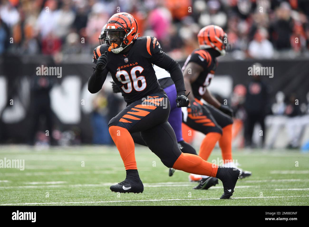 Cincinnati Bengals defensive end Cam Sample (96) in action during the first  half of a NFL football game against the Baltimore Ravens, Sunday, Oct. 9,  2022, in Baltimore. (AP Photo/Terrance Williams Stock