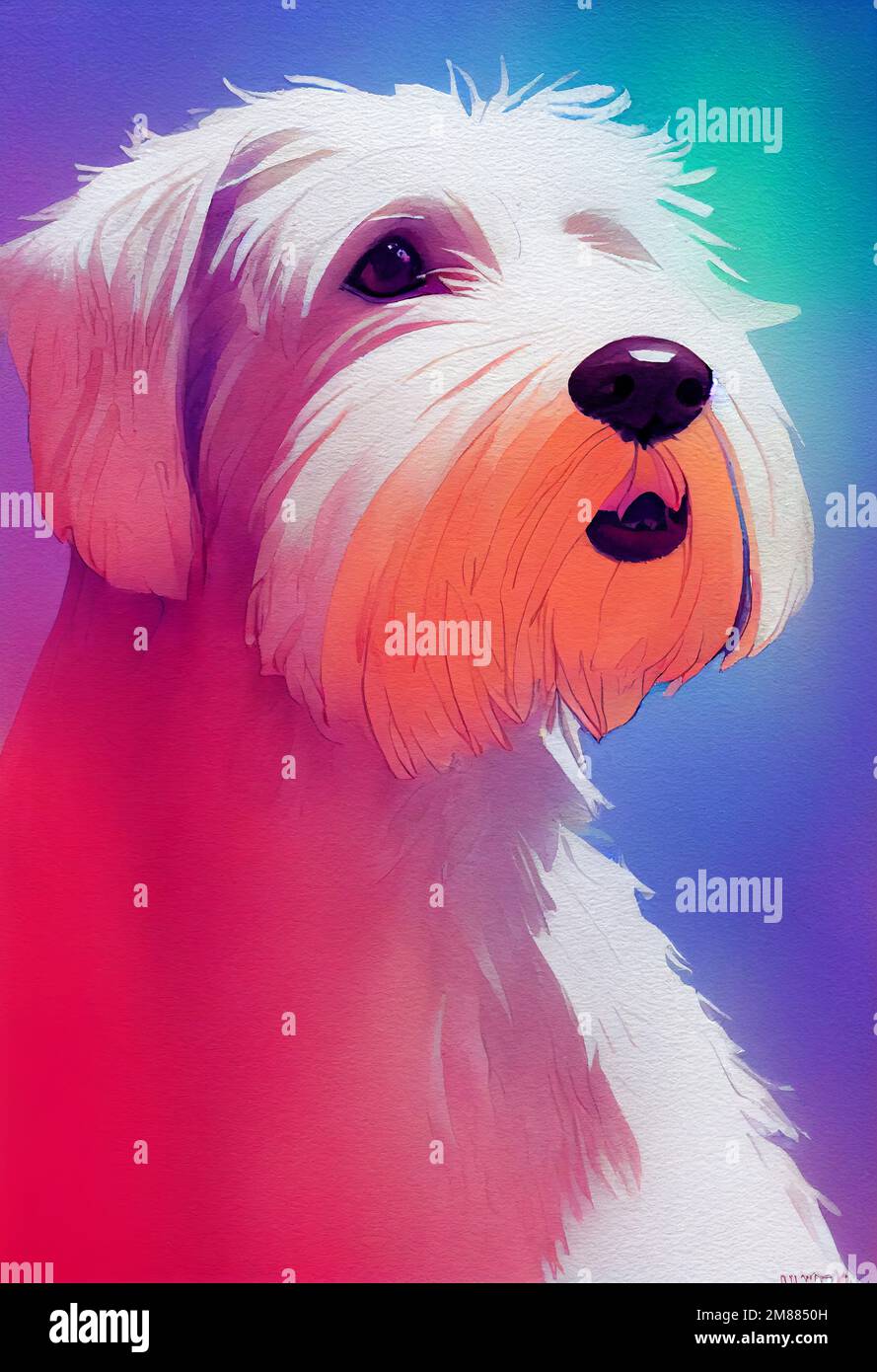 Sealyham terrier puppy hires stock photography and images Alamy