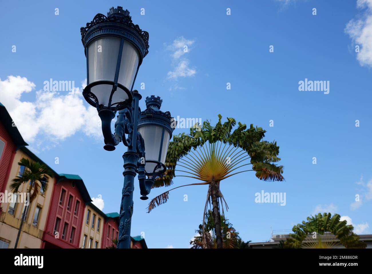 Blue sky, palms and street lamp in Fort de France, Martinique Island. Fort de France is the capital of Martinique island, Lesser Antilles. Stock Photo