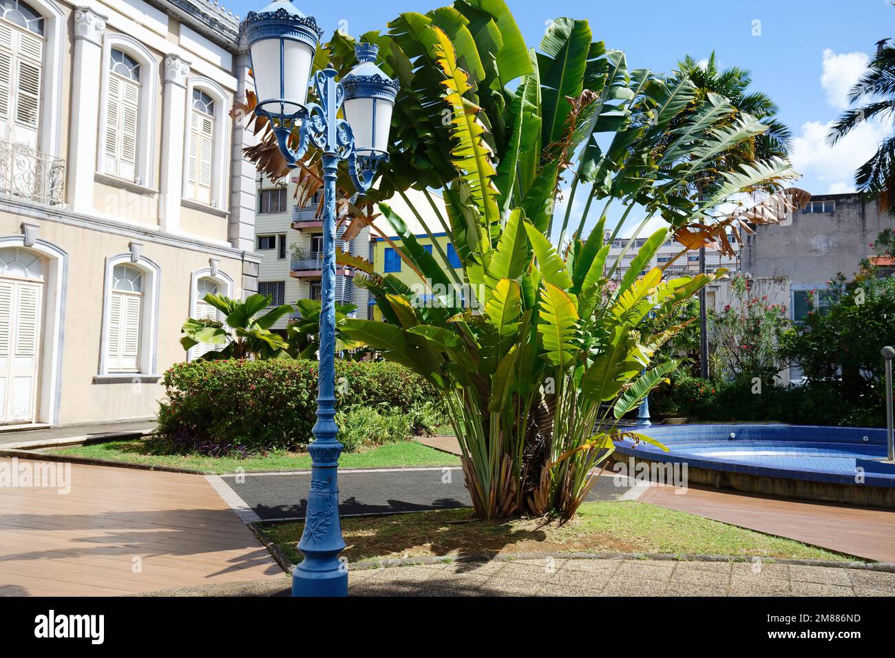 Blue sky, palms and street lamp in Fort de France, Martinique Island