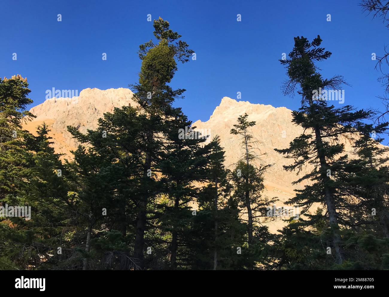 Sunset at Emli Valley and Emli Forest on Aladaglar National Park in