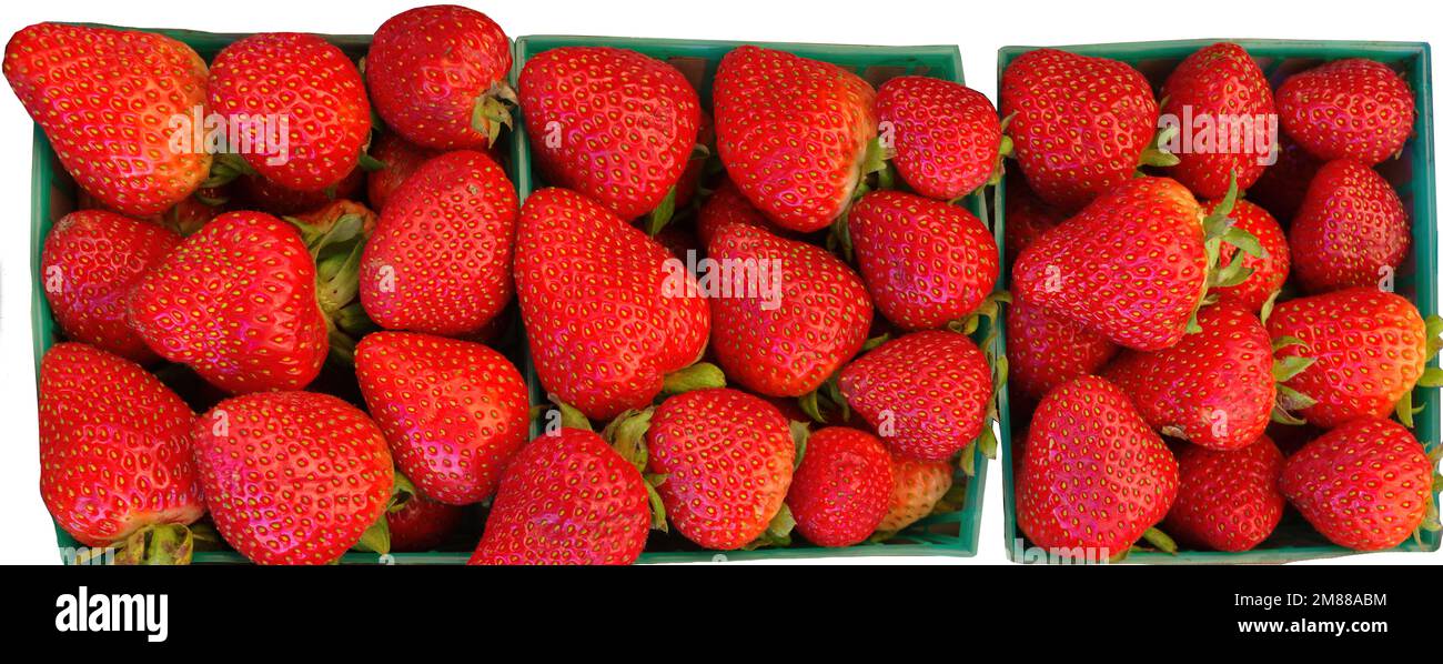 Baskets containg fresh strawberries shown isolated. Stock Photo