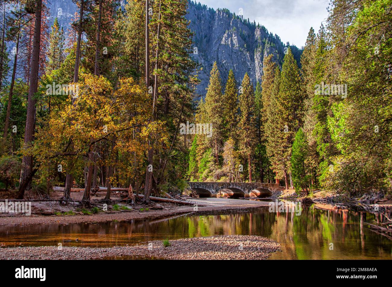 The forest colors are beautifully reflected in the Merced River as it flows towards a historic bridge. Stock Photo