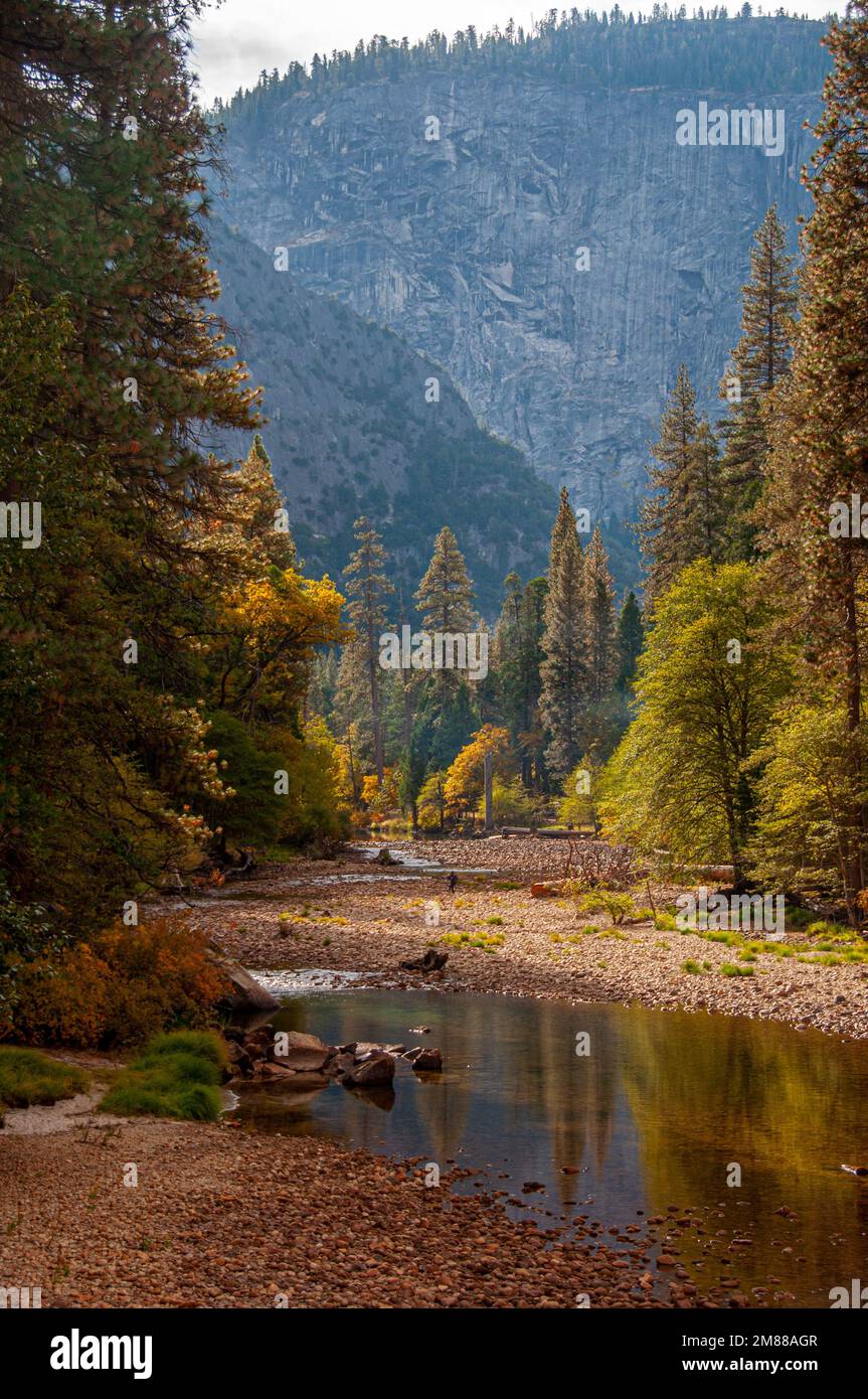 The beauty of the Merced River as it flows through the lush forests of the Yosemite Valley in the National Park. Stock Photo