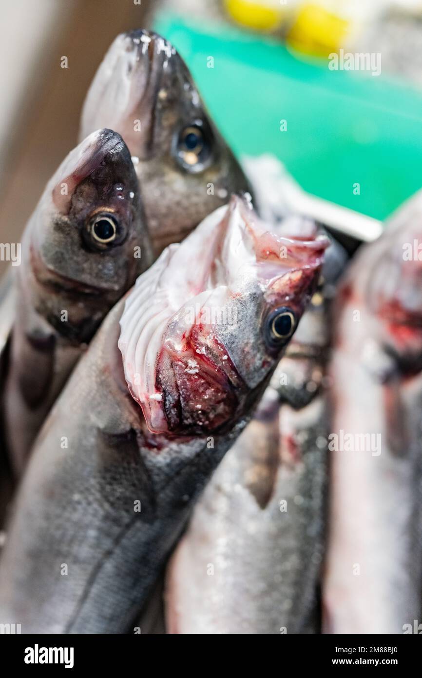 fresh fish seafood Stock Photo - Alamy