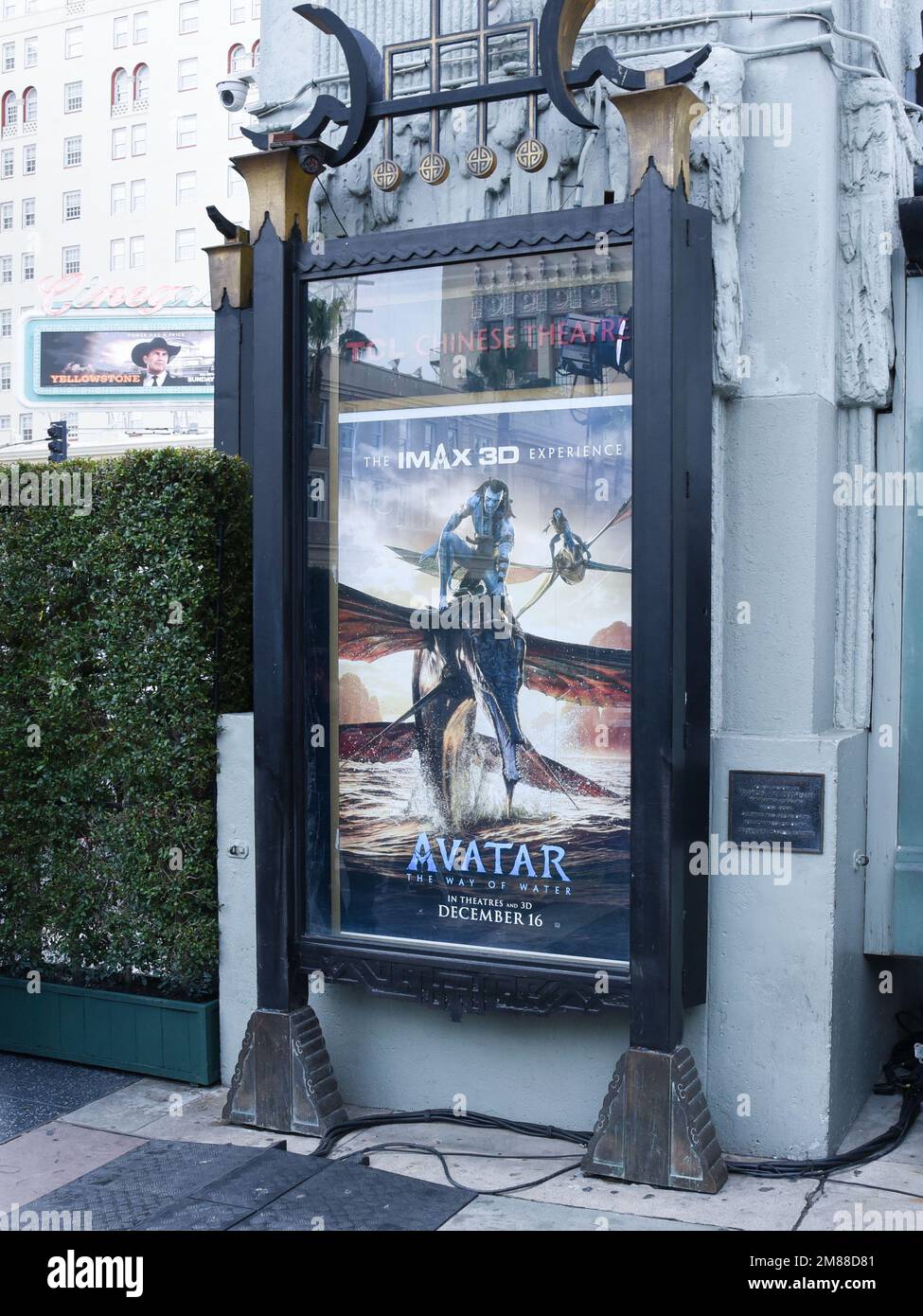 12 January 2023 - Hollywood, California - Avatar: The Way of Water ...
