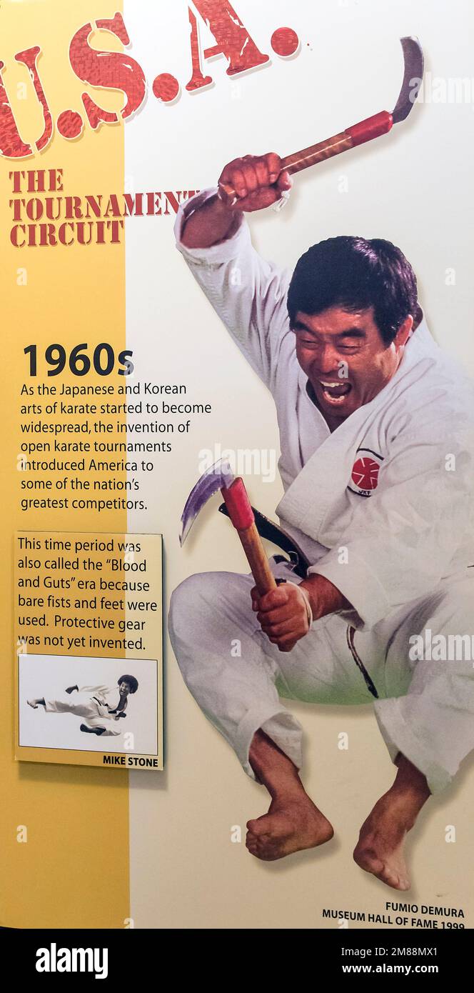 Burbank, California, USA. 12th Jan, 2023. The Martial Arts History