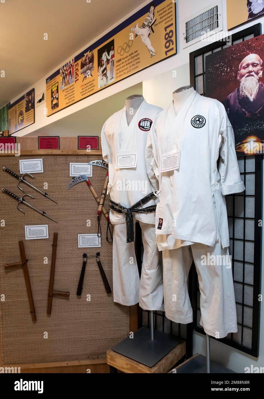 Burbank, California, USA. 12th Jan, 2023. The Martial Arts History
