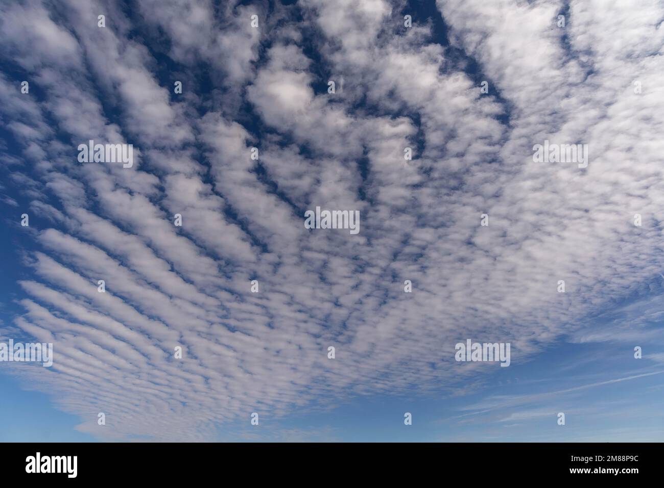 Cloud formations (Altocumulus undulatus), Bavaria, Germany Stock Photo