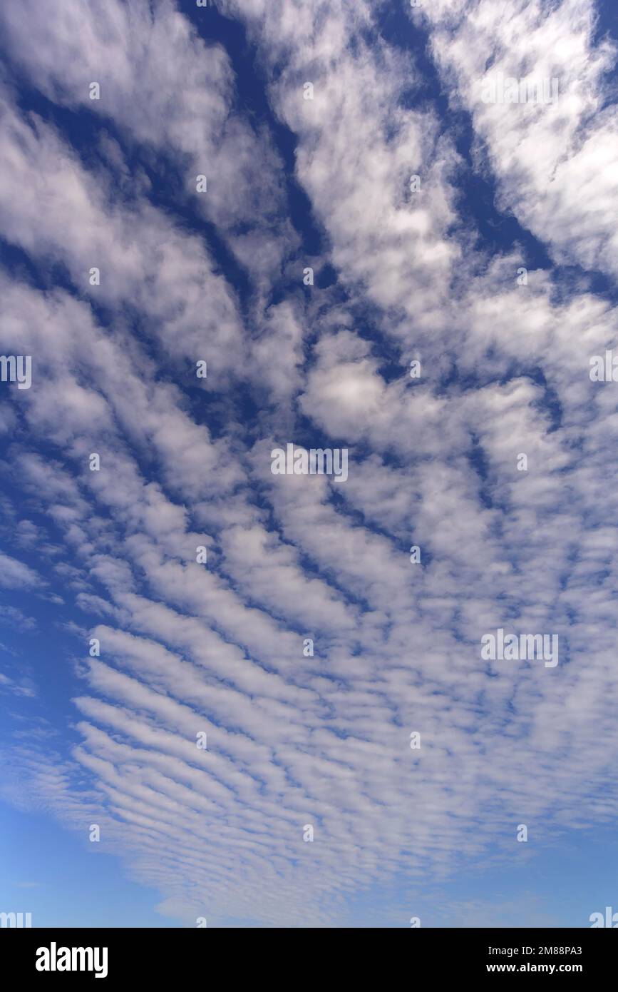 Cloud formations (Altocumulus undulatus), Bavaria, Germany Stock Photo