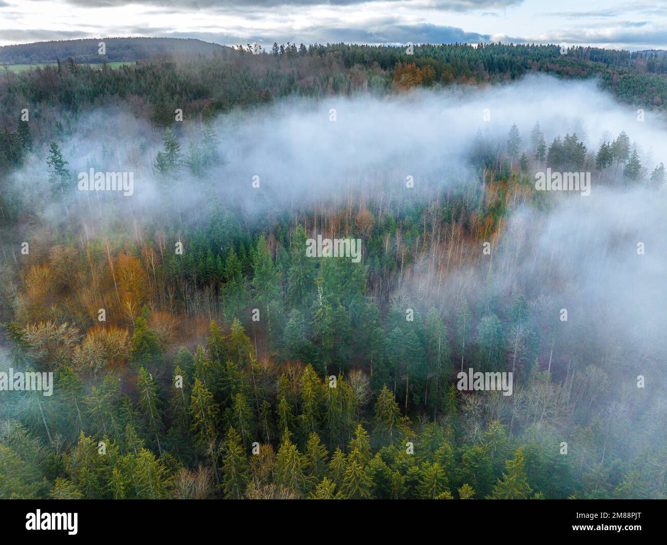 Aerial misty forest hi-res stock photography and images - Alamy