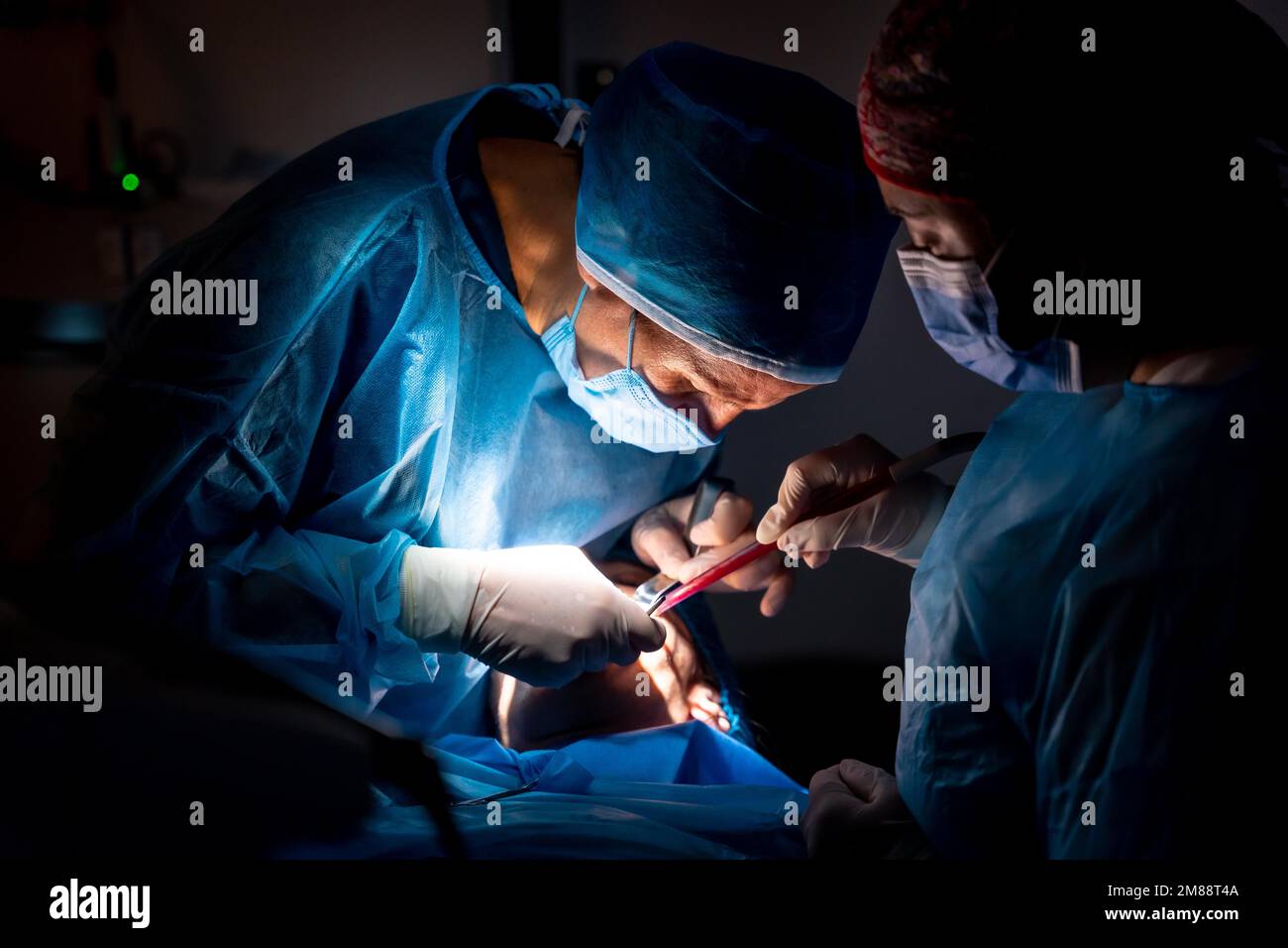 Dental clinic, dentist doctor and the assistant performing an oral operation Stock Photo