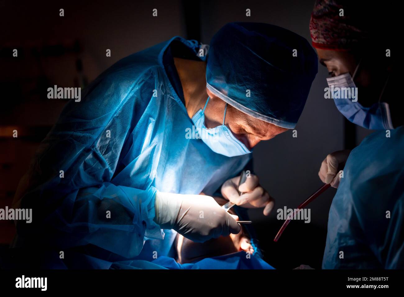 Dental clinic, dentist doctor and the assistant performing an oral operation in low light Stock Photo
