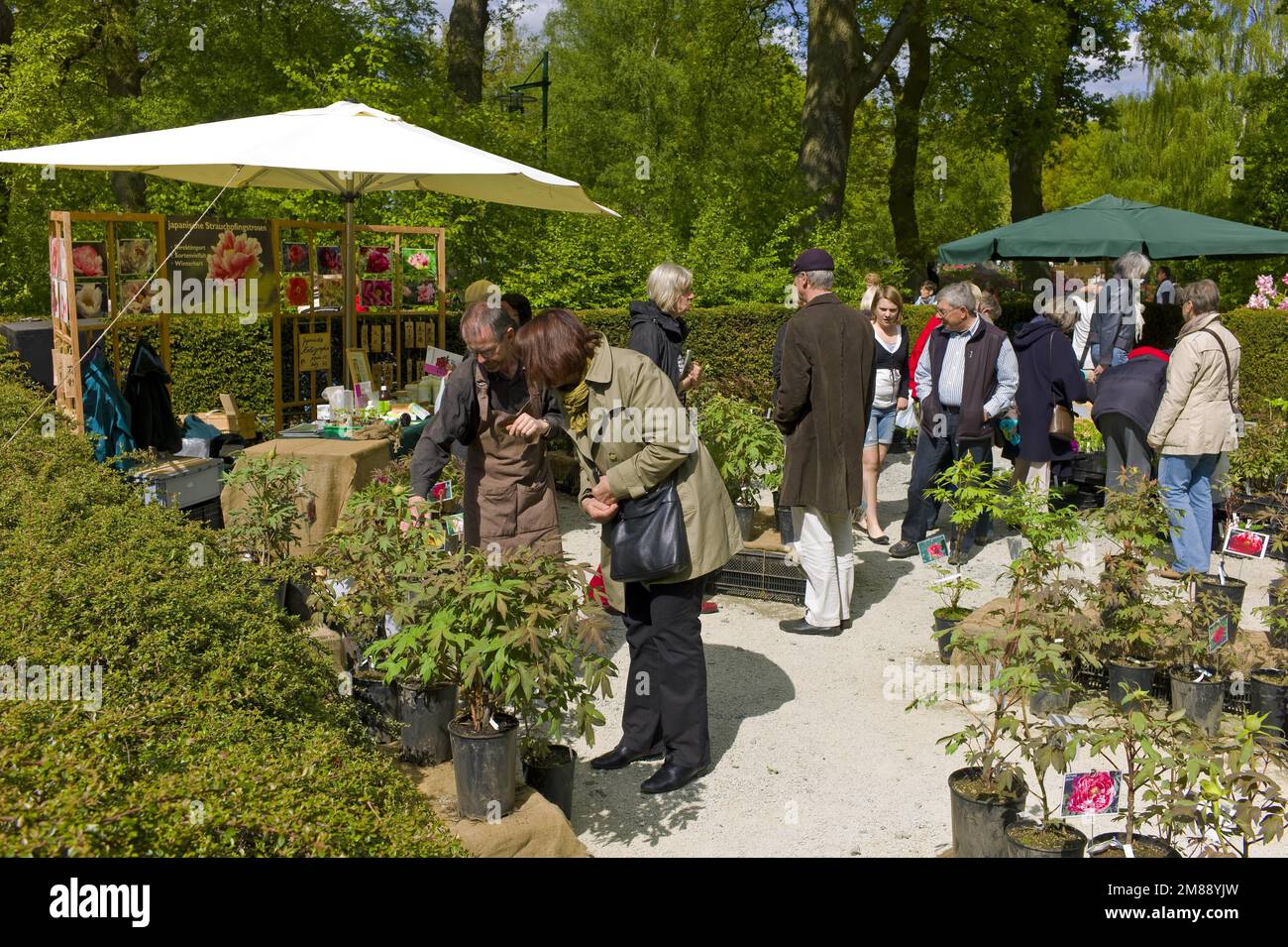 Plant sale at the Bremen Botanical Garden, Germany Stock Photo Alamy
