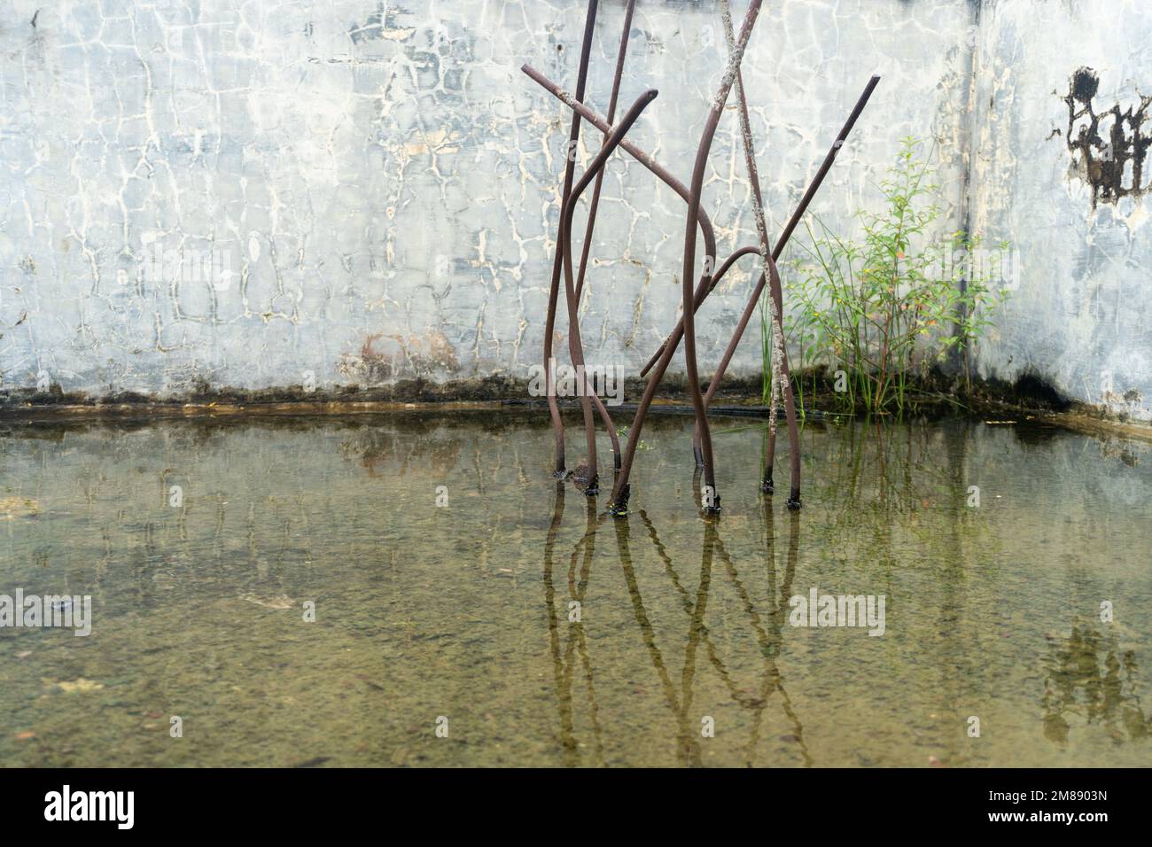 Standing water in abandoned buildings landscape close up Stock 