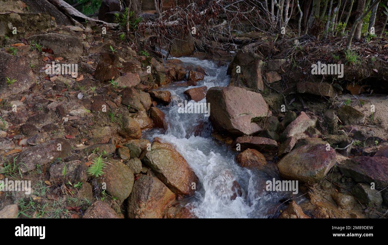 View Of A Small River Flowing In The Depths Of A Tropical Rain Forest Stock Photo