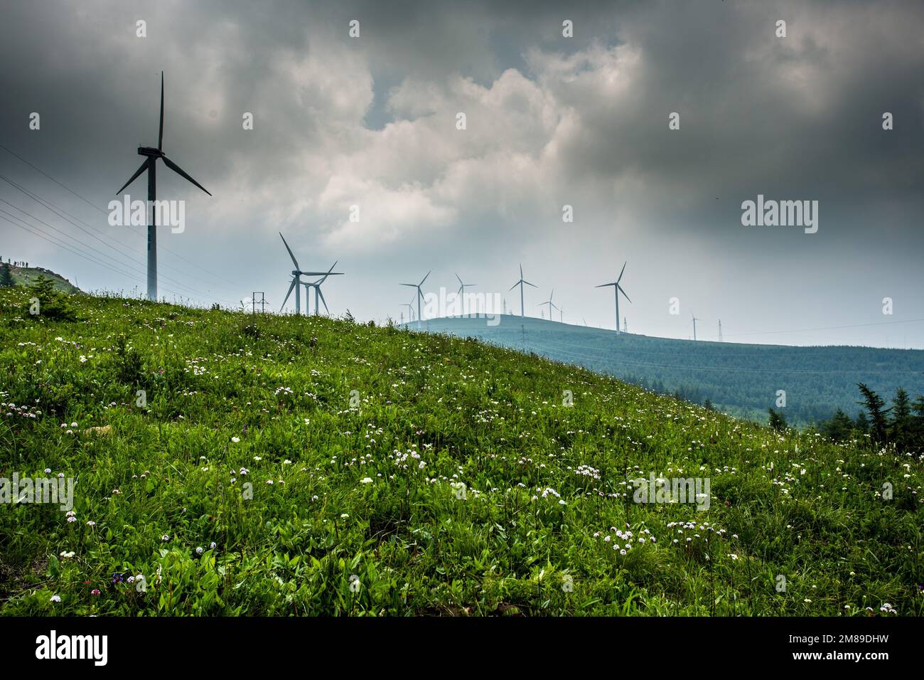 Hebei grassland to creat Stock Photo