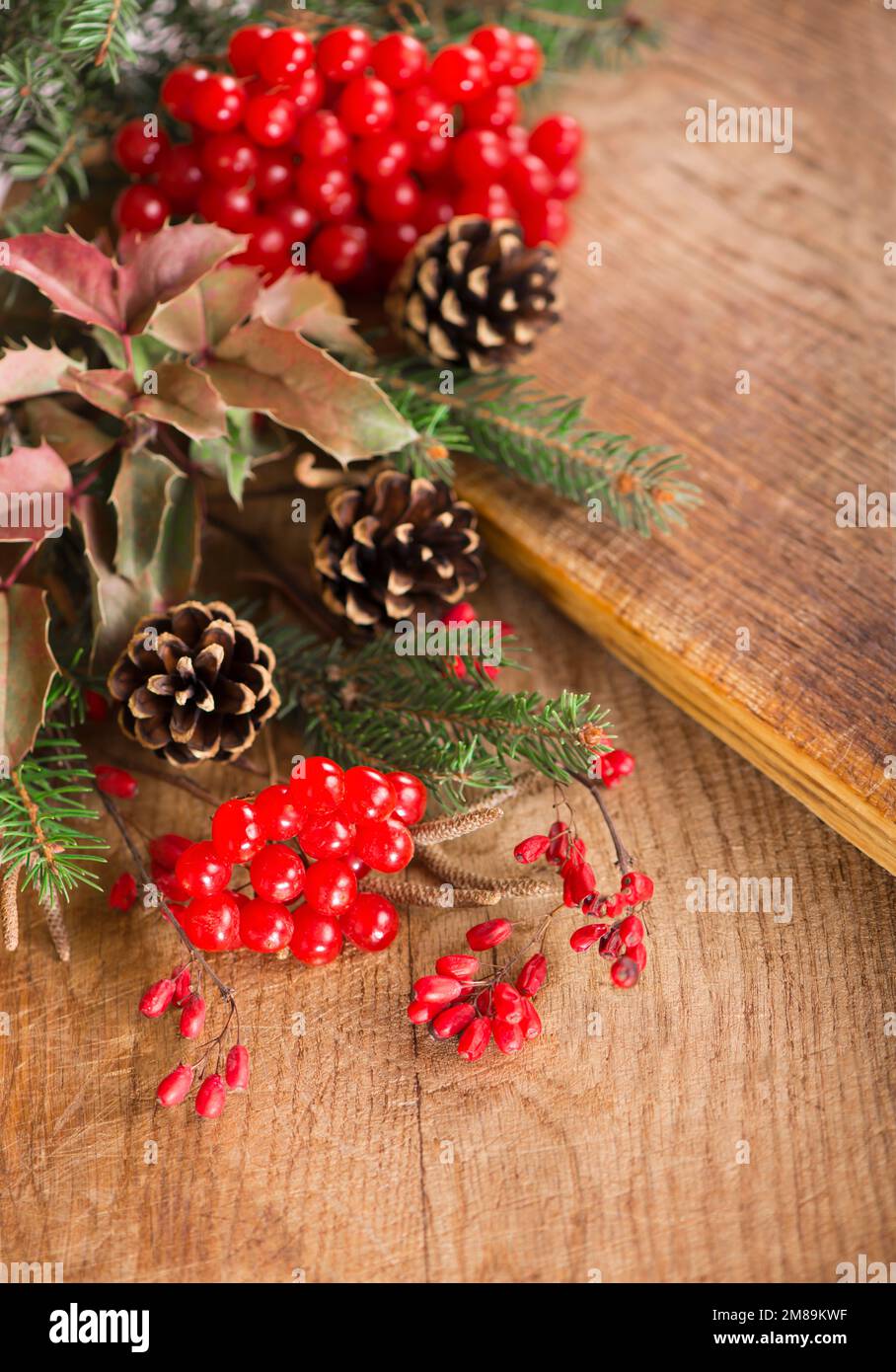 Christmas frame made of fir tree and magonia branches,cones,red ...