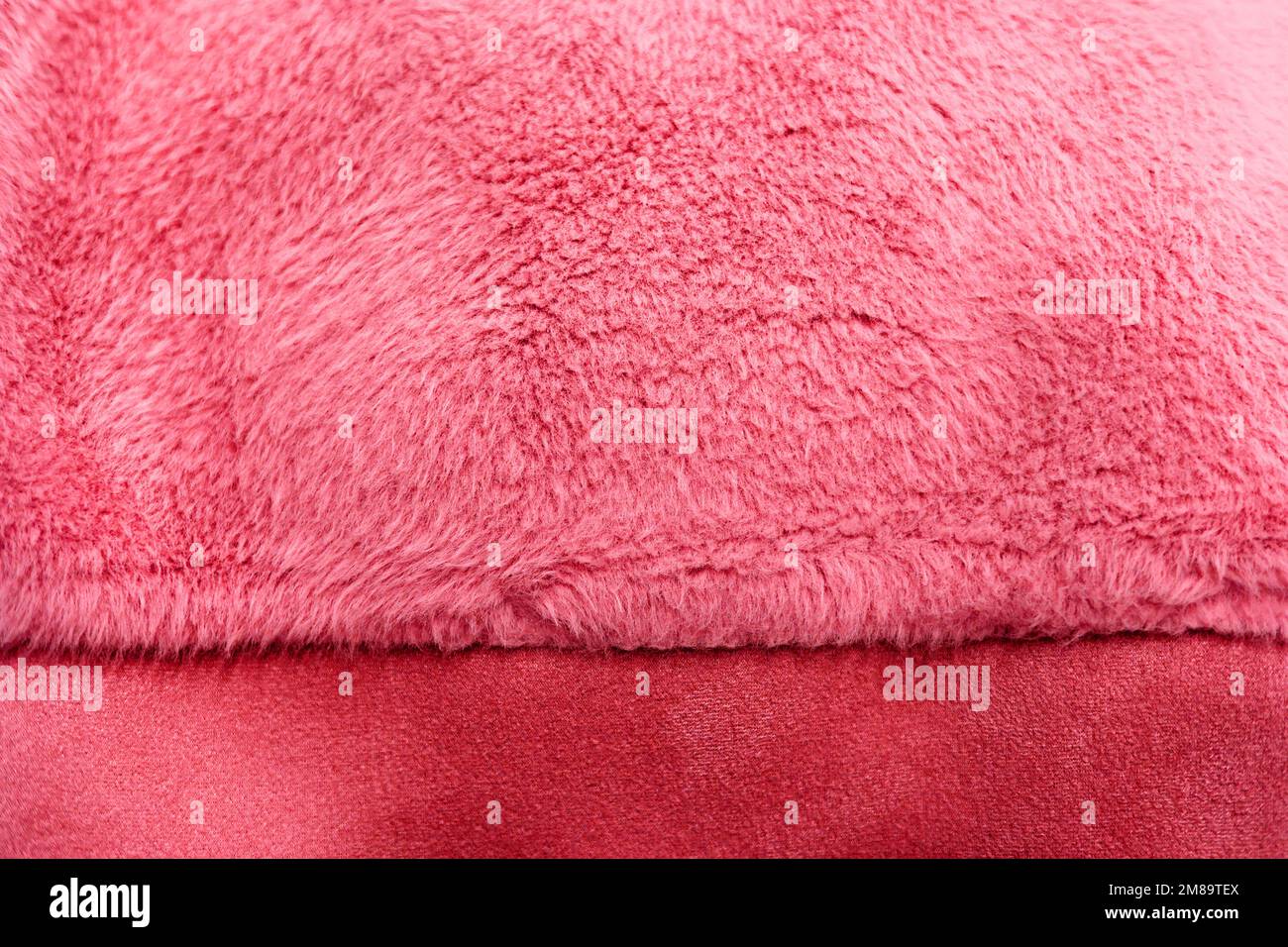 The texture of fur in viva magenta color Stock Photo