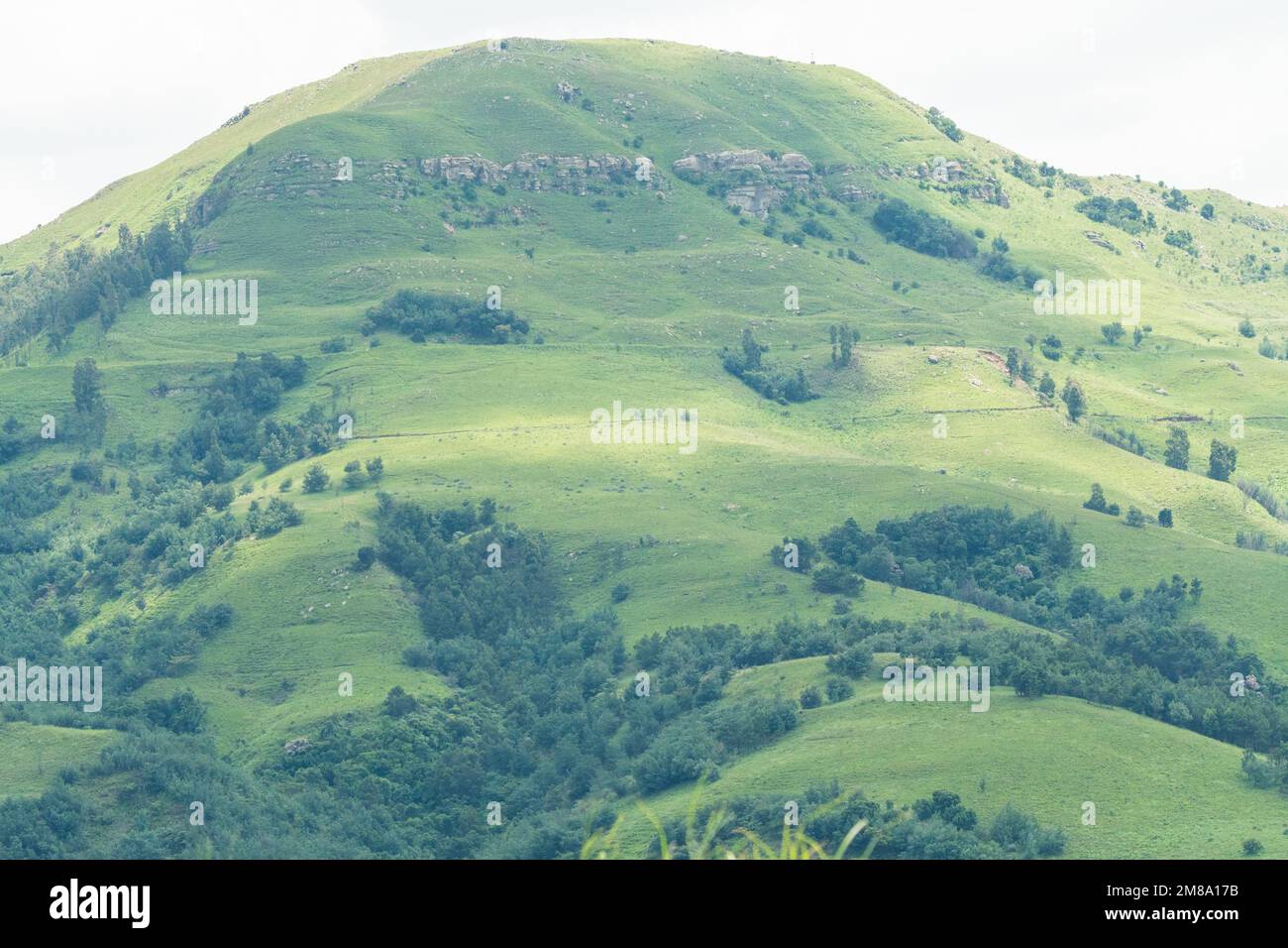 Drakensberg mountain or hill landscape closeup and green in Summer, province of Kwazulu Natal, South Africa concept nature background Stock Photo