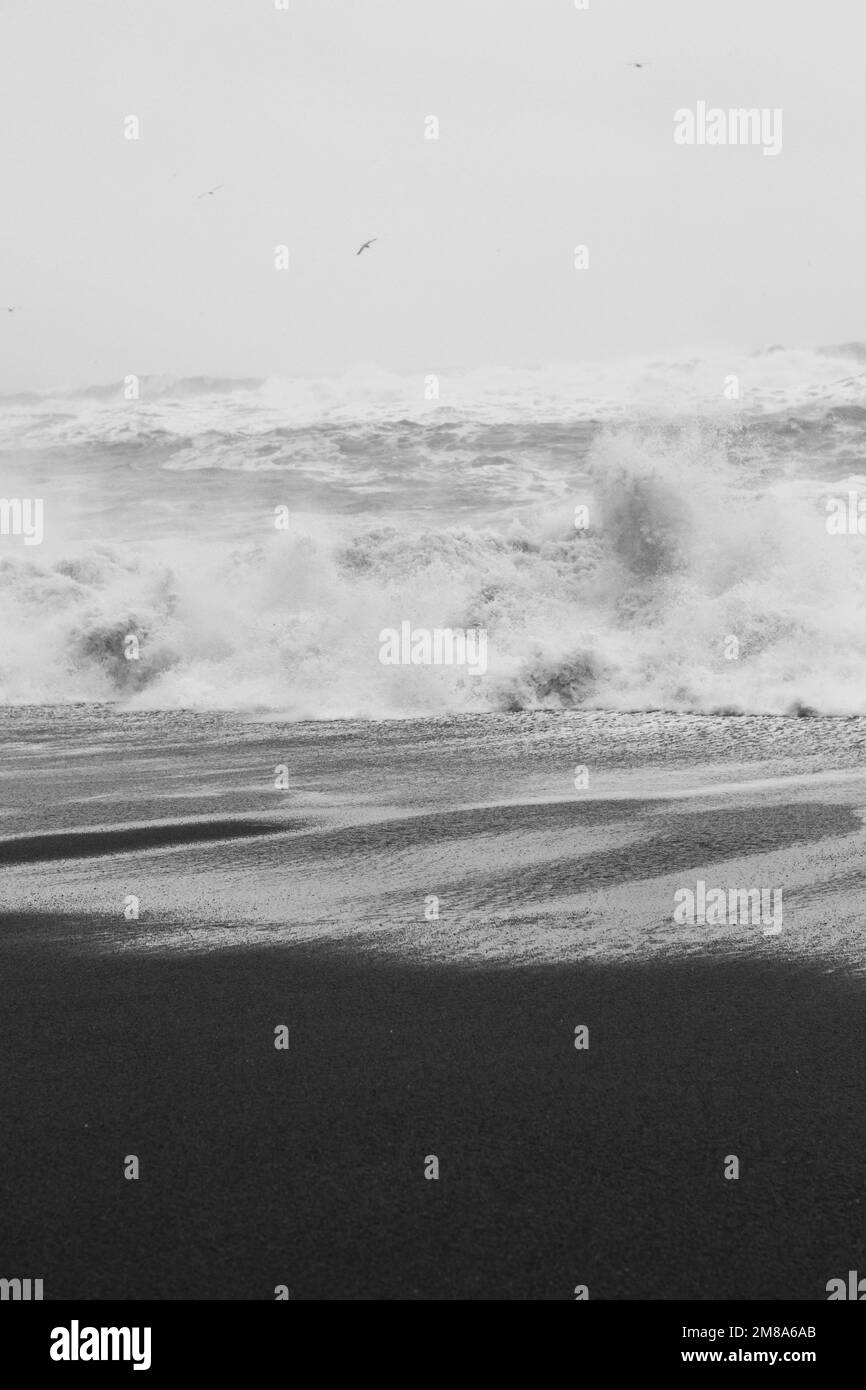 Landscape sea ocean beach Black and White Stock Photos & Images - Alamy