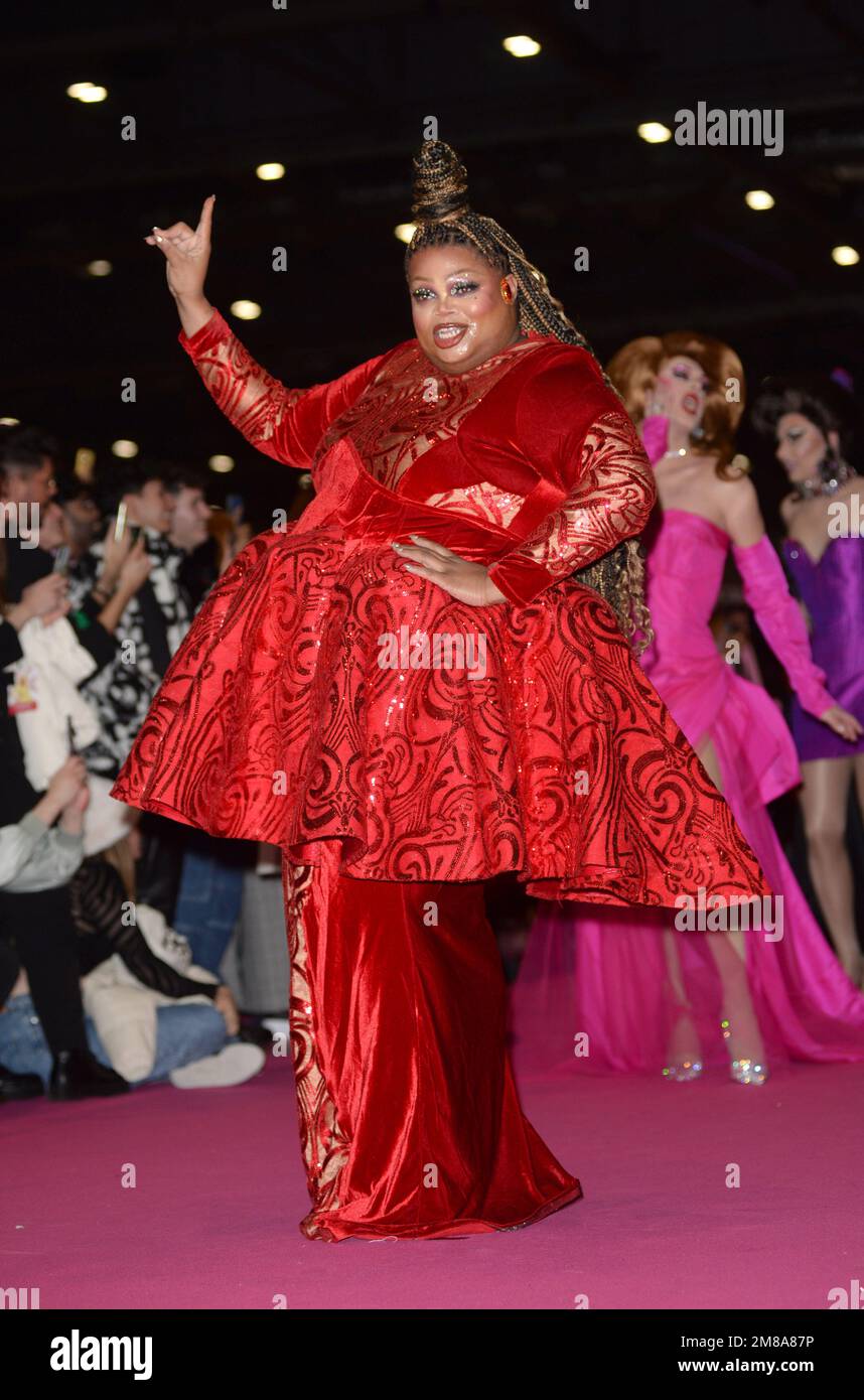 Photo Must Be Credited ©Alpha Press 078237 06/01/2023 Silky Nutmeg