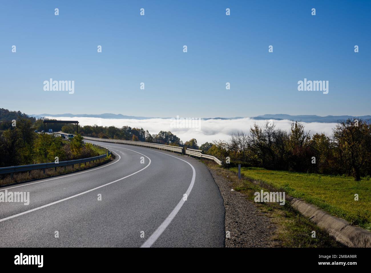 An aerial view of road surrounded by dense trees Stock Photo - Alamy
