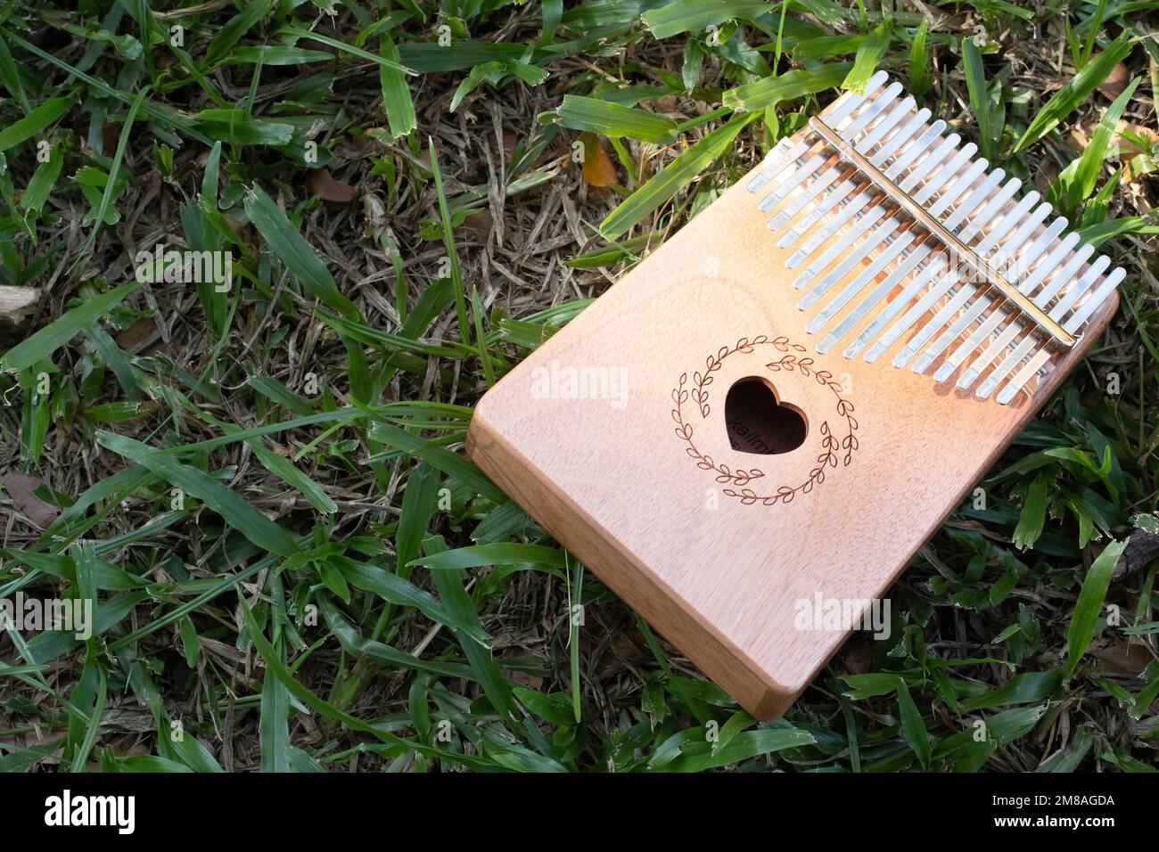 Hand playing kalimba or mbira is an African musical instrument.made
