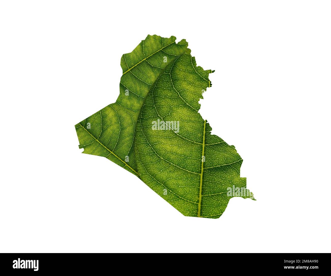 The Iraq map made of green leaves isolated on white background, ecology concept Stock Photo