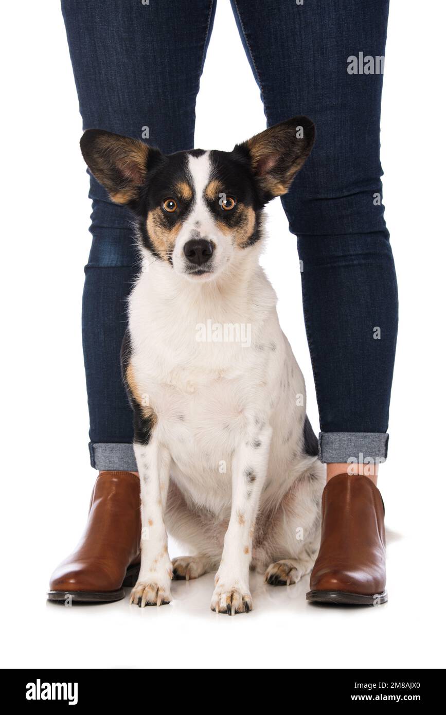 Sitting between legs Cut Out Stock Images & Pictures Alamy