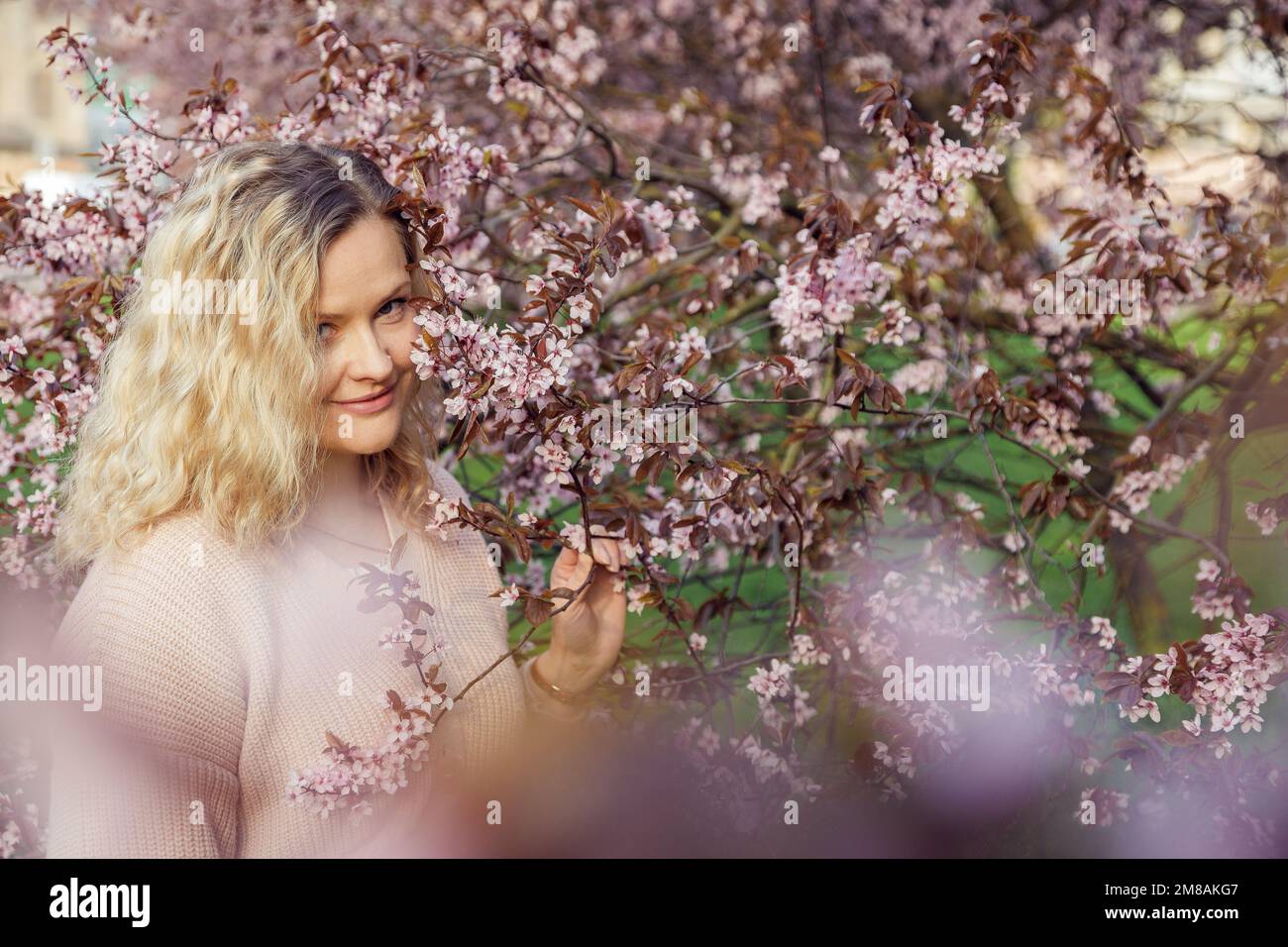 Portrait of young smiling flawless woman with long wavy fair hair wearing pink cardigan, standing near bird-cherry tree. Stock Photo