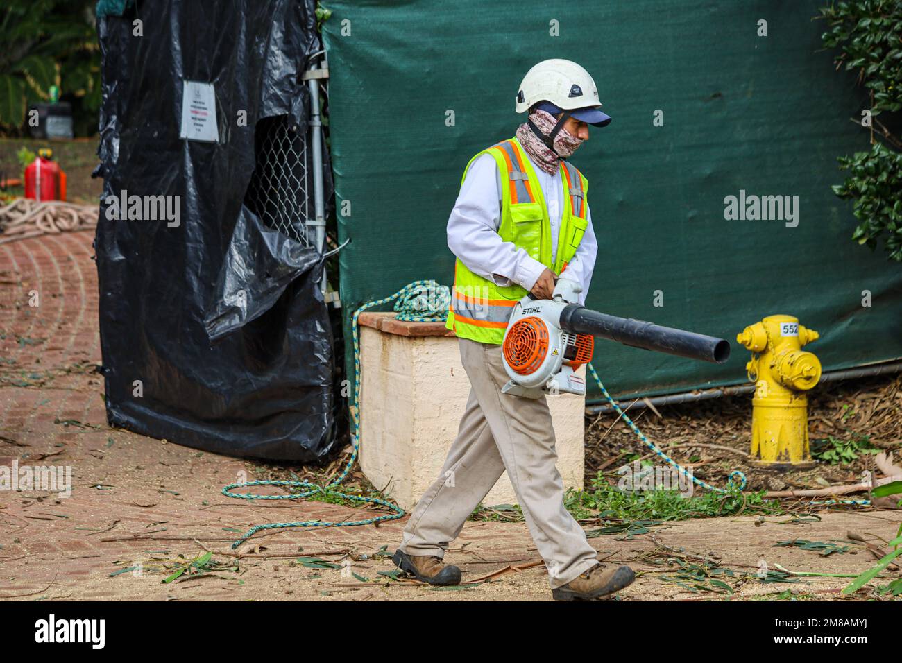 Montecito, California, U.S.A. 12th Jan, 2023. Man with leaf blower at the Four Seasons Biltmore Hotel. His tree crew is cutting down all their giant Eucalyptus trees as a safety measure after one came crashing down on the luxury resort property and across Olive Mill Road. The beautiful palm trees will remain. (Credit Image: © Amy Katz/ZUMA Press Wire) EDITORIAL USAGE ONLY! Not for Commercial USAGE! Stock Photo