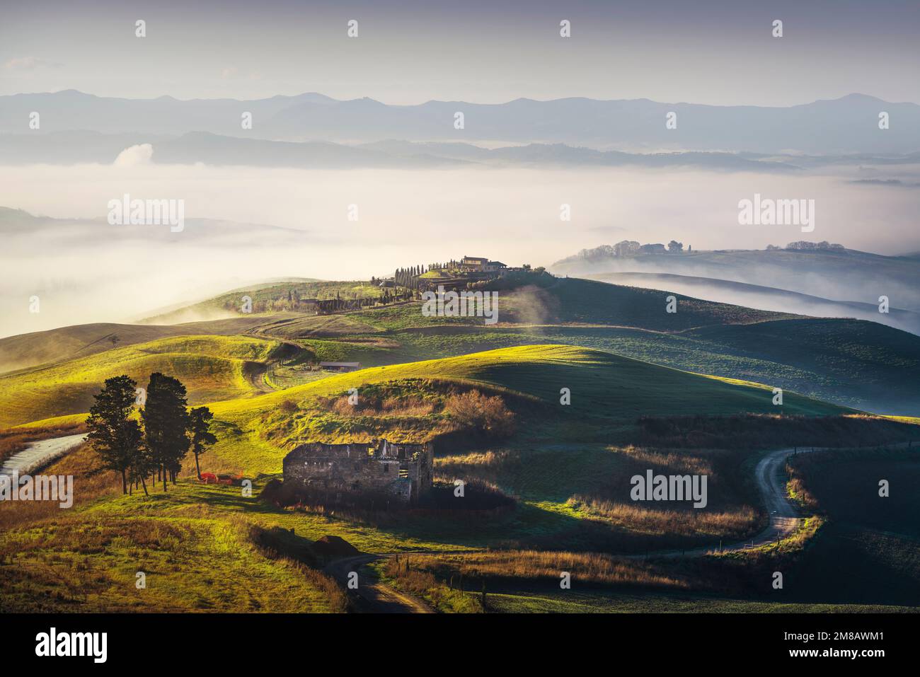 Volterra foggy landscape, trees, rolling hills, rural road, green fields and a abandoned farmhouse at sunrise. Tuscany region, Italy, Europe Stock Photo