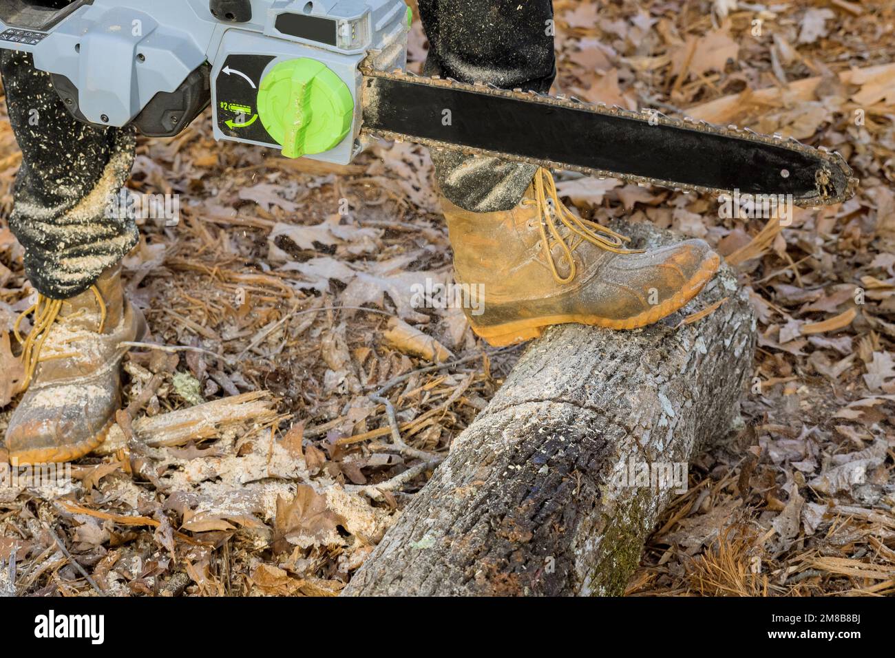Using battery chainsaw worker saws down trees after hurricane tree fell