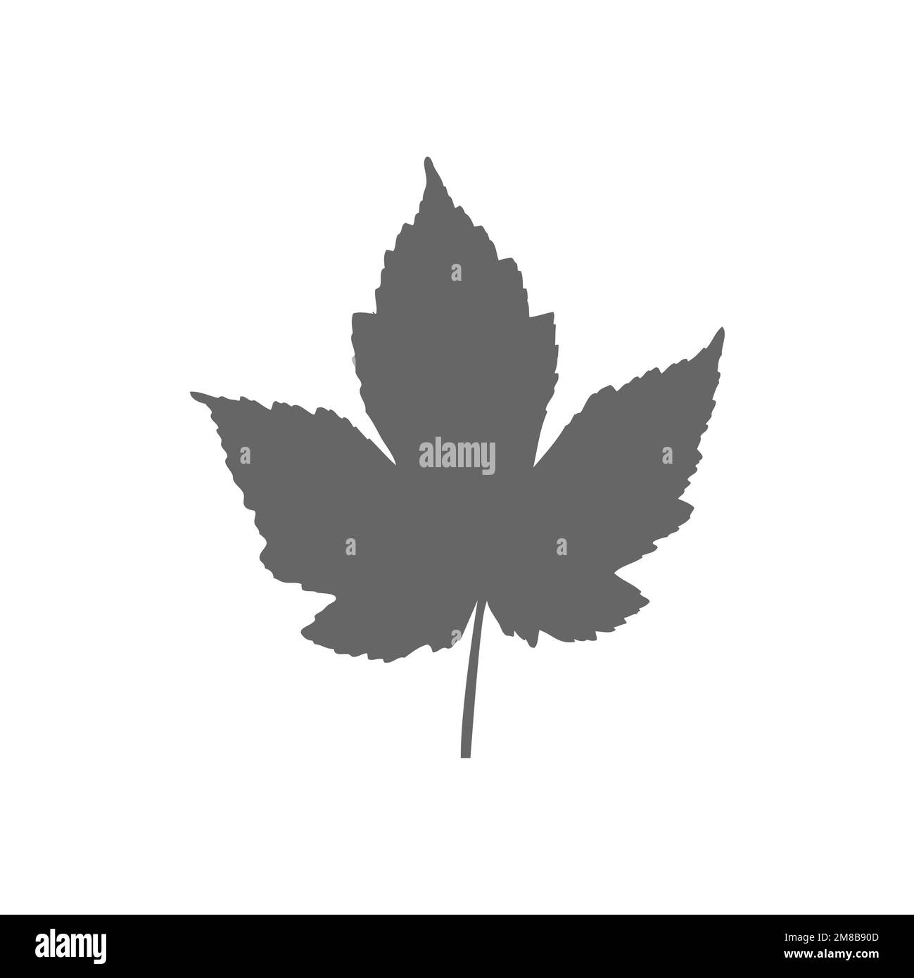 Maple leaf icon, graphic resource template, vector illustration Stock ...