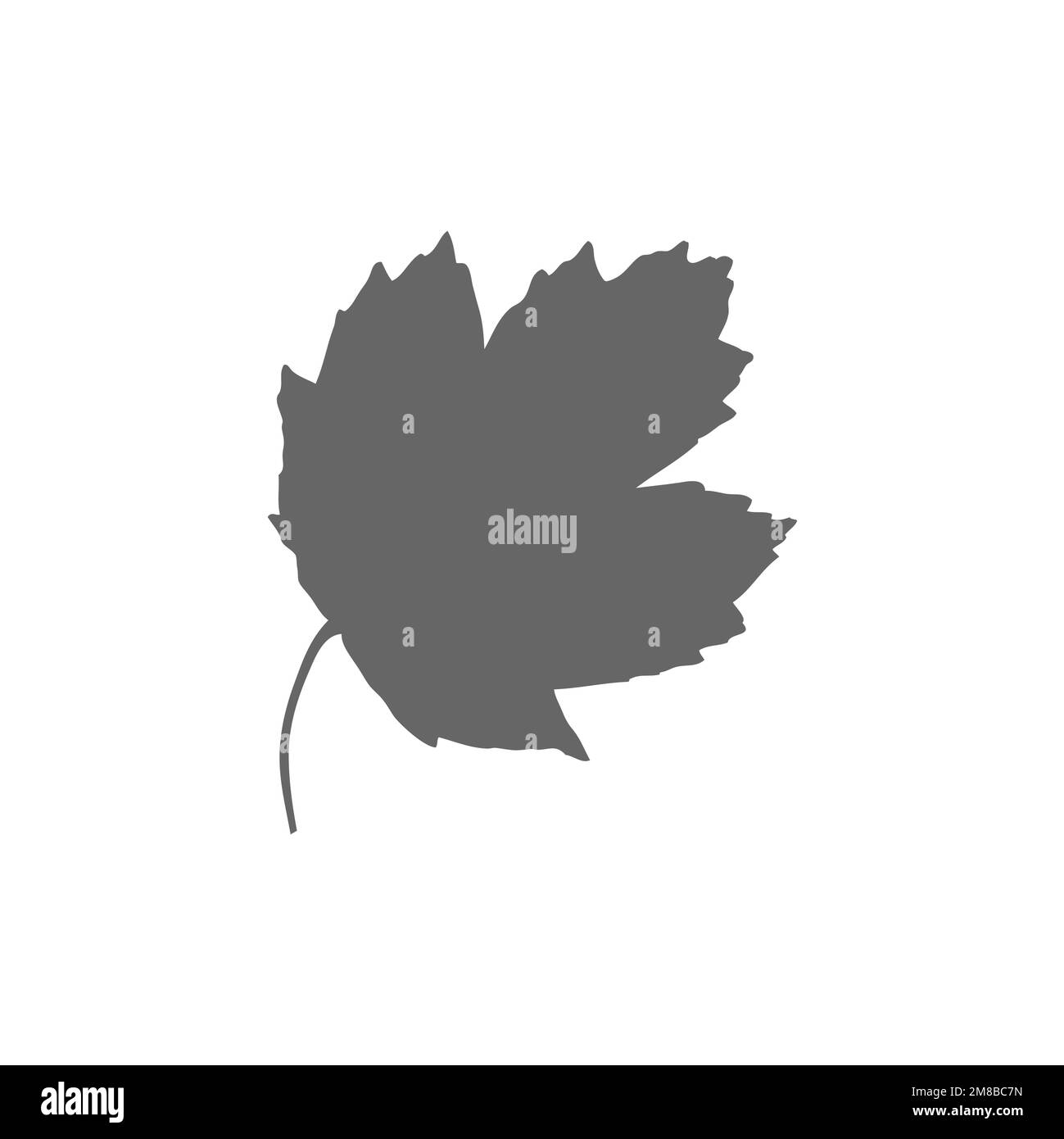 Maple leaf icon, graphic resource template, vector illustration Stock ...