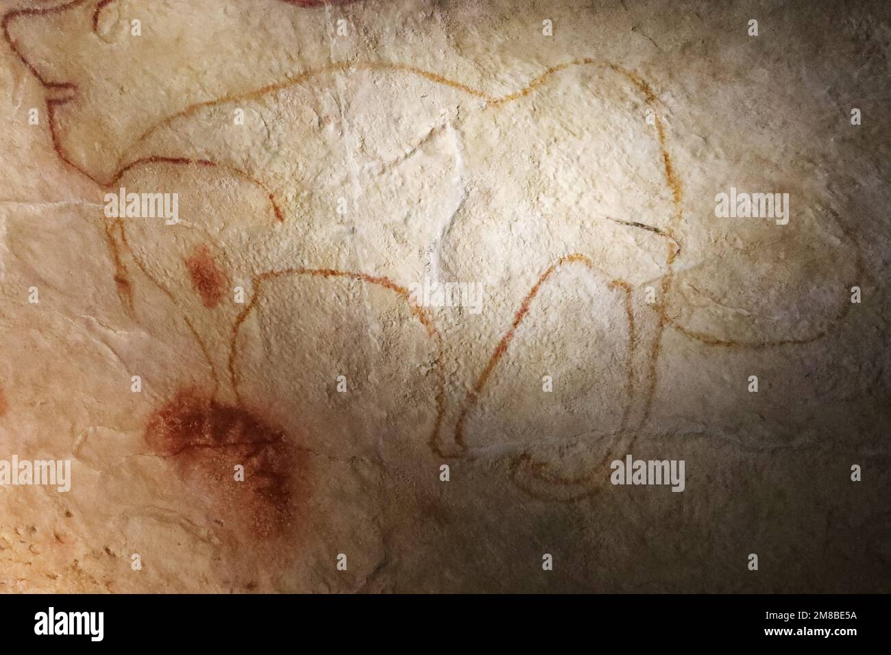 Prehistoric Depiction Of A Mammoth In Chauvet Caves France Stock Photo