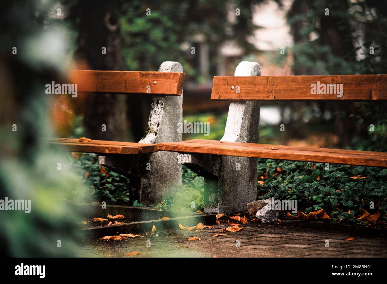 Pair wooden park benches hi-res stock photography and images - Alamy