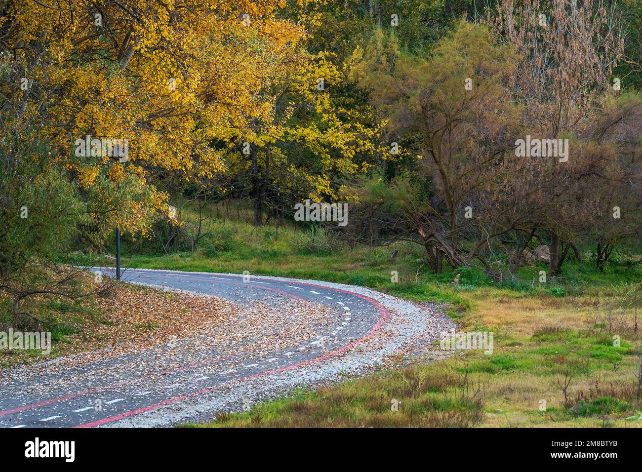 A winding road surrounded by colorful trees in autumn Stock Photo - Alamy