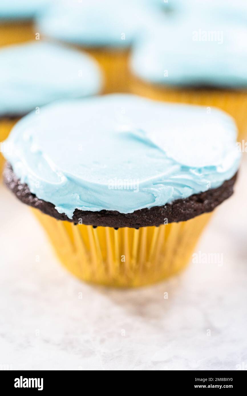 https://c8.alamy.com/comp/2M8BXY0/unicorn-rainbow-chocolate-cupcake-2M8BXY0.jpg