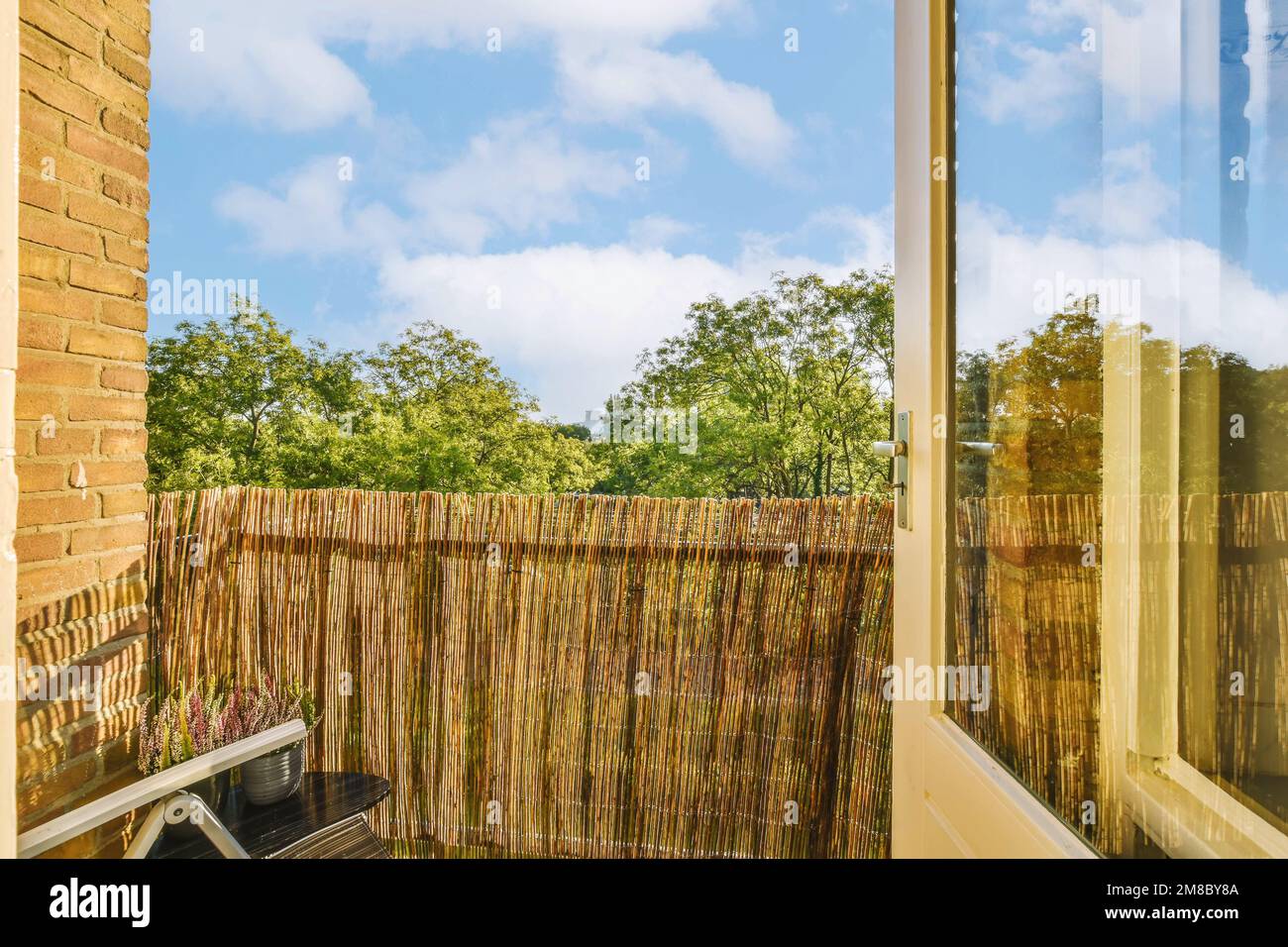 Window Partially Shut an outside area with a wooden fence in the background and a window that ...