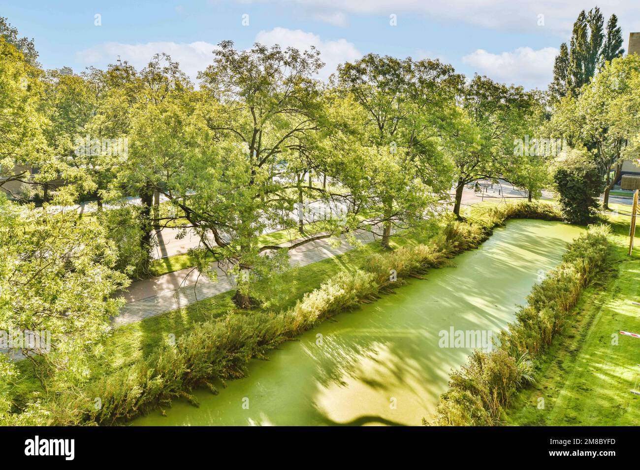 the river in front of a house with trees on both sides and green water running through it, surrounded by lush vegetation Stock Photo