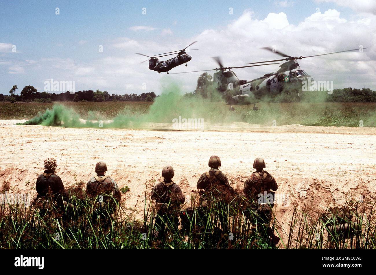 A group of Marines waits for two CH-46E Sea Knight helicopters of Marine Medium Helicopter Squadron 163 (HMM-163) to land with more troops during the joint Thai/U.S. exercise Thalay Thai '89. Subject Operation/Series: THALAY THAI '89 Country: Thailand (THA) Stock Photo