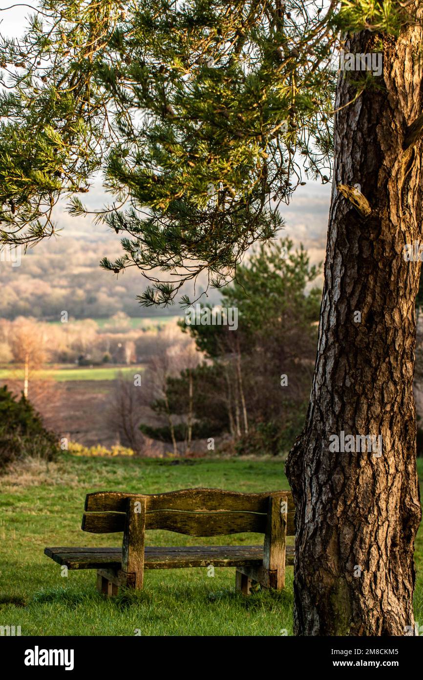 Serene view park bench pond hi-res stock photography and images - Alamy