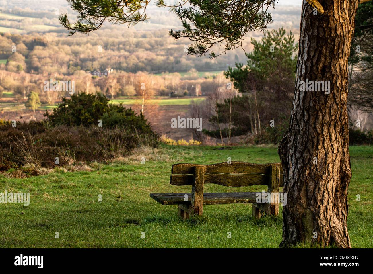 Serene view park bench pond hi-res stock photography and images - Alamy