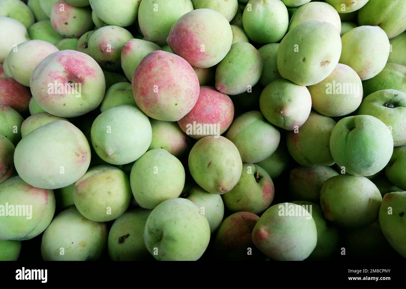 Fresh peaches on the shelf of a fruit shack on hires stock photography
