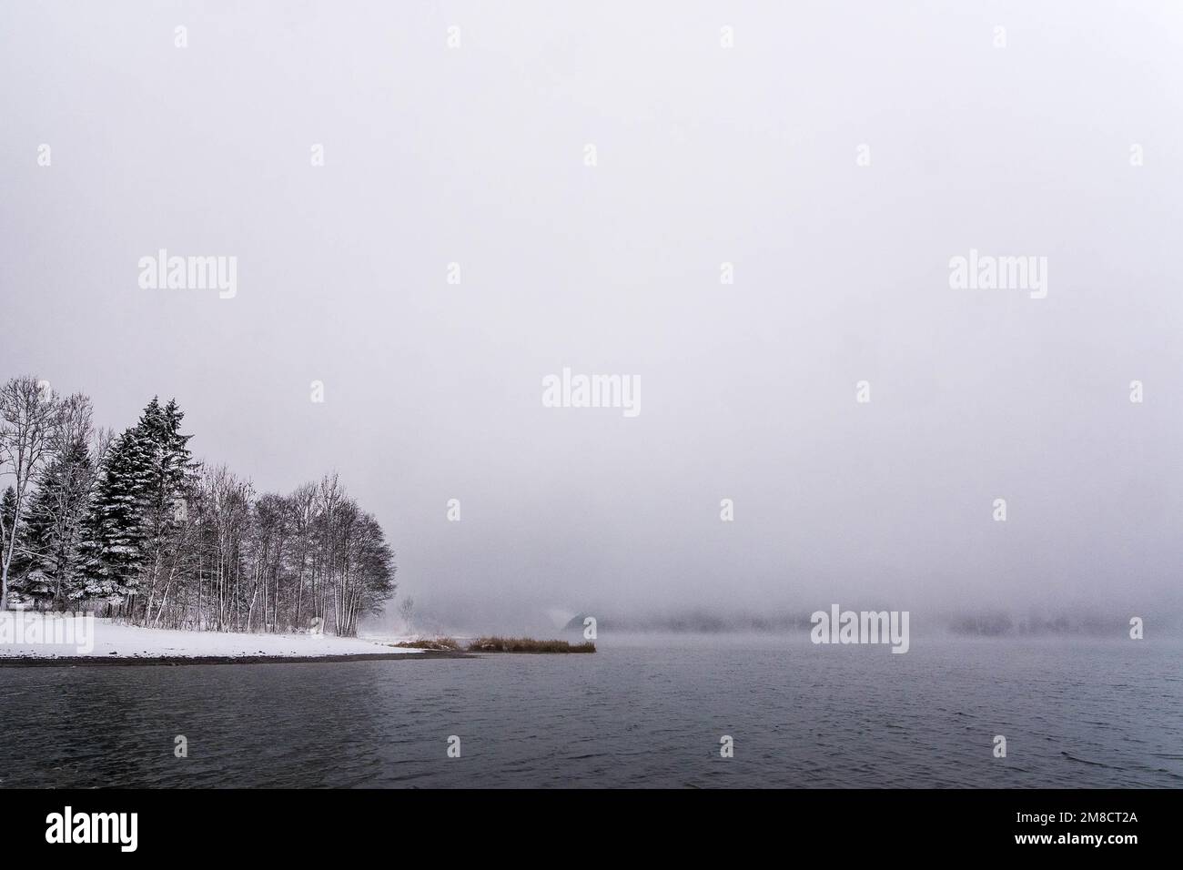 foggy morning at the lake Stock Photo