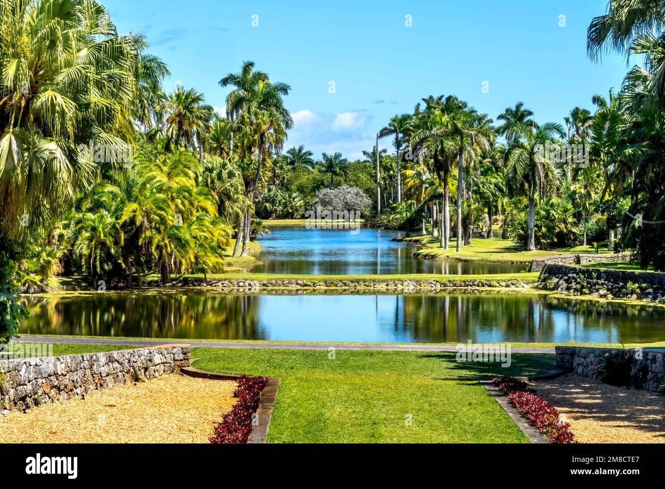 Palm Trees Reflectioin Fairchild Tropical Botanic Garden Coral Gables